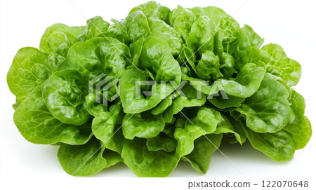 Fresh green butterhead lettuce isolated on white background. 122070648