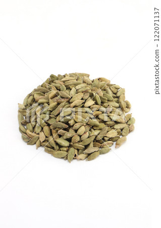 cardamom 122071137
