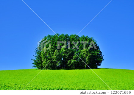 Mild Seven Hill, a scenic spot in Biei, Hokkaido Mild Seven Hill, a scenic spot in Biei, Hokkaido 122071699