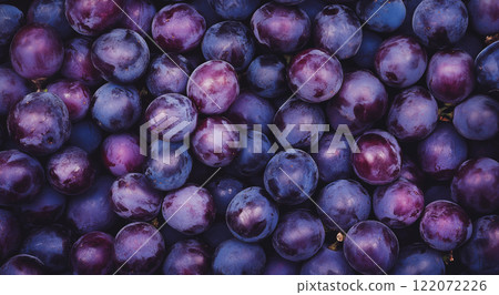 新鲜的葡萄图片 122072226