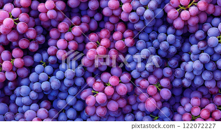 新鲜的葡萄图片 122072227
