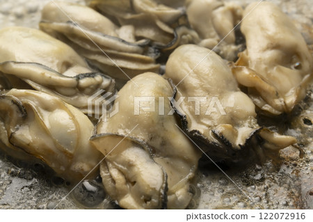 Oysters grilled in butter - Grilling oysters on a hot plate 122072916