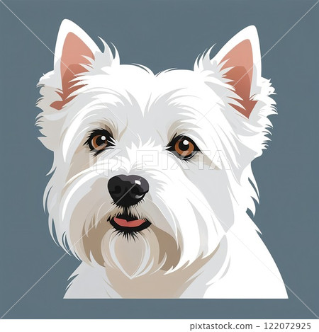 White terrier face with cute white fur White terrier face with cute white fur 122072925