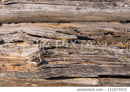 Textured Wooden Logs featuring Natural Detailed Weathering and Unique Characteristics 122073052