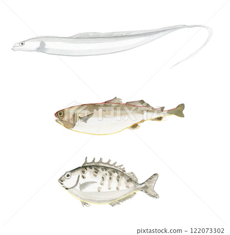 劍魚、鱈魚、兔魚 122073302