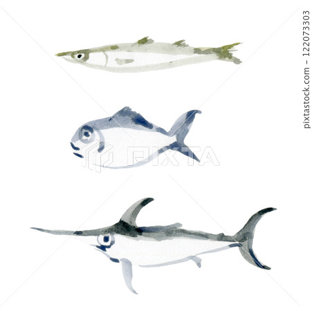 Barracuda, Red sea bream, Swordfish Barracuda, Red sea bream, Swordfish 122073303