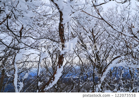 The beauty and power of frost on Mt. Watamuki 122073558