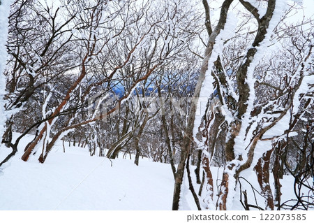 The beauty and power of frost on Mt. Watamuki The beauty and power of frost on Mt. Watamuki 122073585