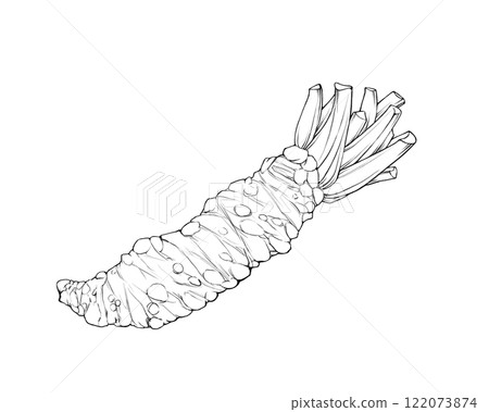 芥末的寫實線條畫插圖 芥末的寫實線條畫插圖 122073874