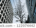The sky and roadside trees seen through the gaps between buildings (horizontal) 122074442