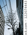 Sky and street trees seen through the gaps between buildings (vertical) 122074443