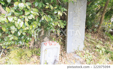Daruma fortune telling at Shomyoji Temple 122075094