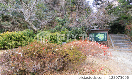 著名寺廟的達摩彩票 122075096