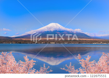 新春富士山櫻花盛開 122075531