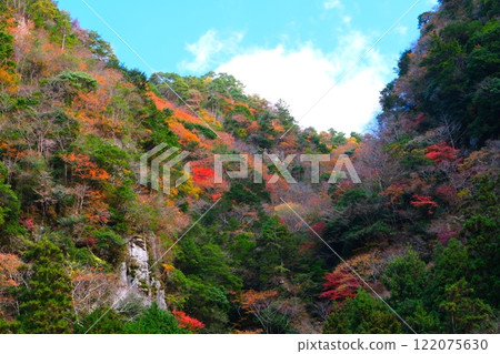Autumn foliage in Kouachi Valley, Nabari City, Mie Prefecture Autumn foliage in Kouachi Valley, Nabari City, Mie Prefecture 122075630