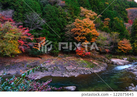 Autumn foliage in Kouachi Valley, Nabari City, Mie Prefecture Autumn foliage in Kouachi Valley, Nabari City, Mie Prefecture 122075645