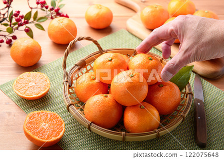 Mandarin oranges (January 2025) Mandarin oranges (January 2025) 122075648