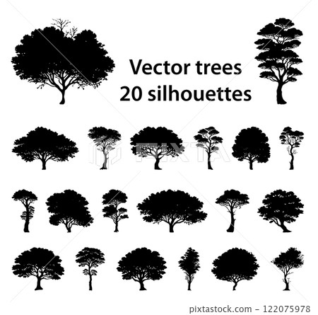 Black and white vector silhouette tree 122075978