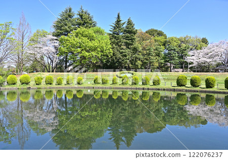皆田農場：大崎公園兒童釣池 埼玉市 122076237