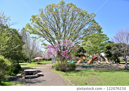 皆田農場:埼玉市大崎公園草坪廣場 皆田農場:埼玉市大崎公園草坪廣場 122076238