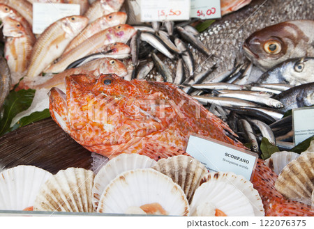 Fresh fish and clams in a market 122076375