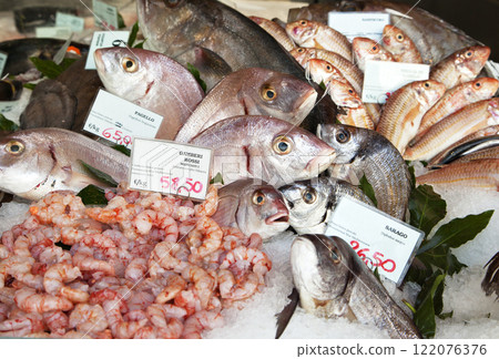 Fresh fish and clams in a market 122076376