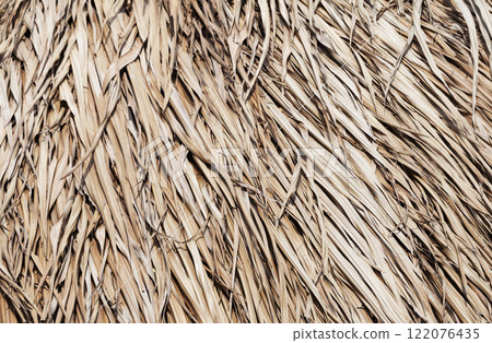 Thatched roof texture Thatched roof texture 122076435