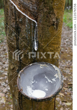 Production of caoutchouc 122076556