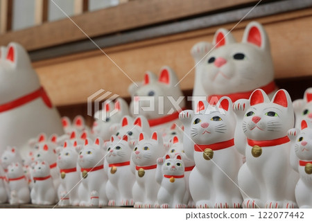 Lucky cat boy, Gotokuji Temple, Setagaya, Tokyo Lucky cat boy, Gotokuji Temple, Setagaya, Tokyo 122077442