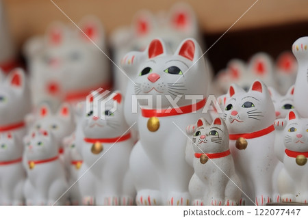 Lucky cat boy, Gotokuji Temple, Setagaya, Tokyo 122077447