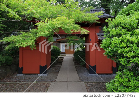 Lucky cat boy, Gotokuji Temple, Setagaya, Tokyo 122077452
