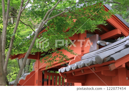 幸運貓寺豪德寺 @ 東京世田谷區 122077454