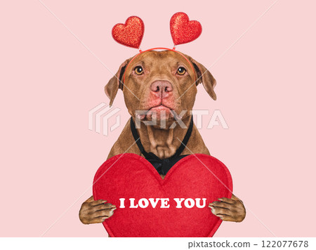 I Love You. Lovable dog and congratulatory inscription 122077678