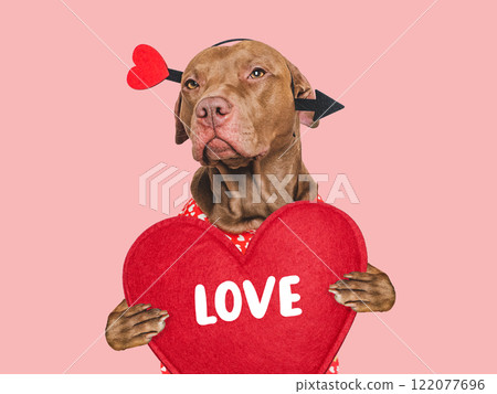 I Love You. Lovable dog and congratulatory inscription 122077696