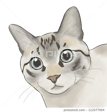 Big Eyed Cat Big Eyed Cat 122077904