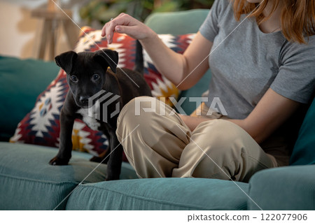 Joyful Moments and Warm Connections with a Black Puppy and Owner Relaxing on a Couch 122077906