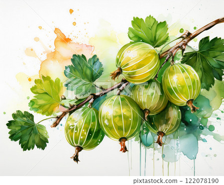 Sweet gooseberry with green leaves Sweet gooseberry with green leaves 122078190