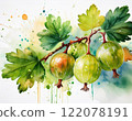 Sweet gooseberry with green leaves 122078191