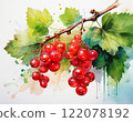 Red currant with green leaves 122078192