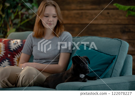 A young girl enjoying her time with a dog on a cozy couch in a warm and inviting living room 122078227