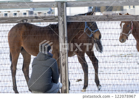 A man talking to a horse at a thoroughbred breeding farm in winter in Abira Town, Hokkaido 122078967