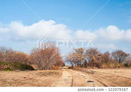 Winter on the Yodo River riverbank, Hirakata City, Osaka Prefecture 122079167