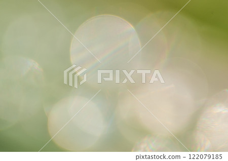 清晨陽光下閃耀的光環，美麗的自然形態 122079185