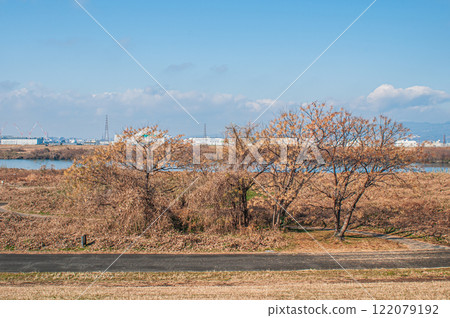 大阪府枚方市冬季淀川公園出口區域 122079192