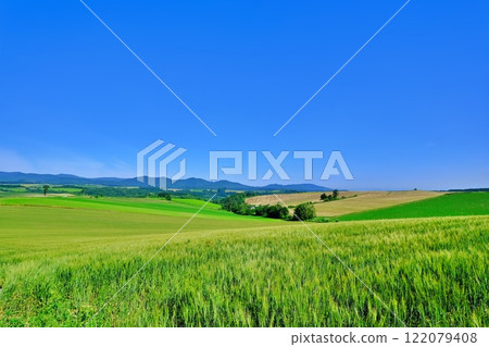 Patchwork Hill in Biei, Hokkaido in summer 122079408
