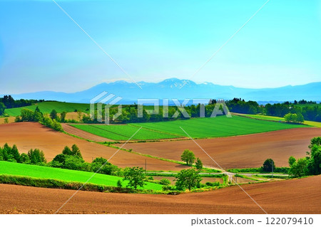 Patchwork Hill in Biei, Hokkaido in summer 122079410