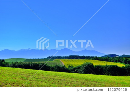 Patchwork Hill in Biei, Hokkaido in summer 122079426