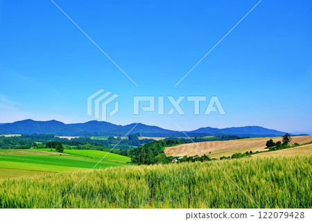 Patchwork Hill in Biei, Hokkaido in summer Patchwork Hill in Biei, Hokkaido in summer 122079428
