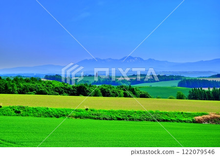 夏季北海道美瑛町拼布之丘 122079546