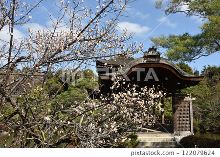 平安神宮庭園梅花與太平閣[橋堂] 122079624